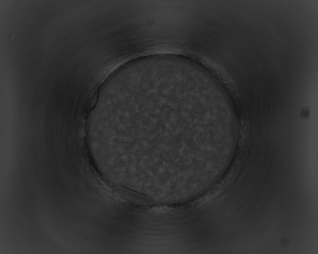 X0000091891169200710031135