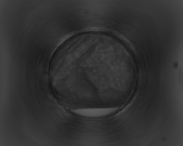 X0000091891170200710031135