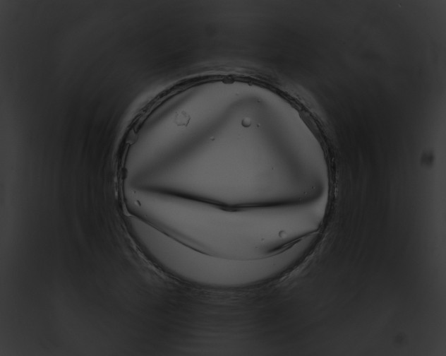 X0000091891172200710031135