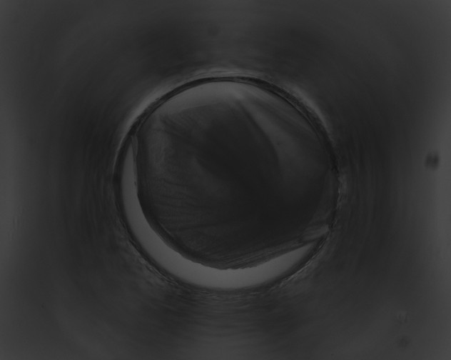 X0000091891173200710031135