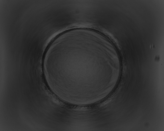 X0000091891174200710031135