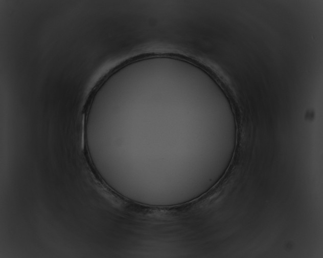 X0000091891175200710031135