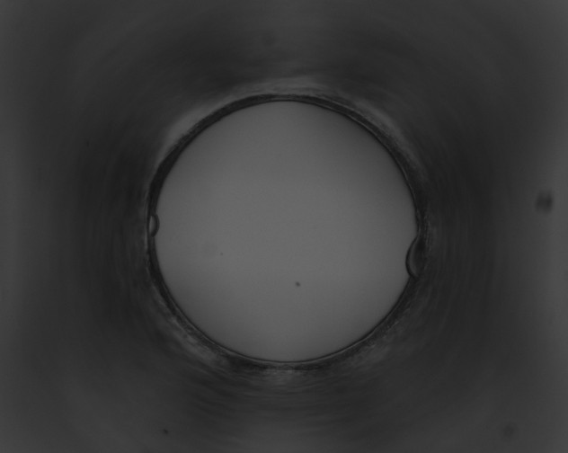 X0000091891176200710031135