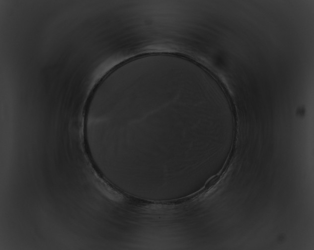 X0000091891179200710031135