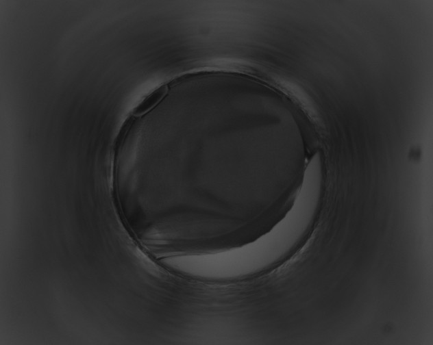 X0000091891180200710031135