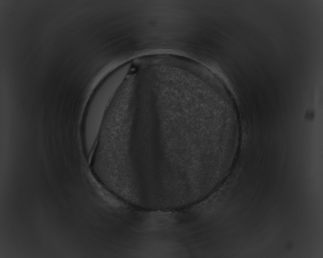 X0000091891181200710031135