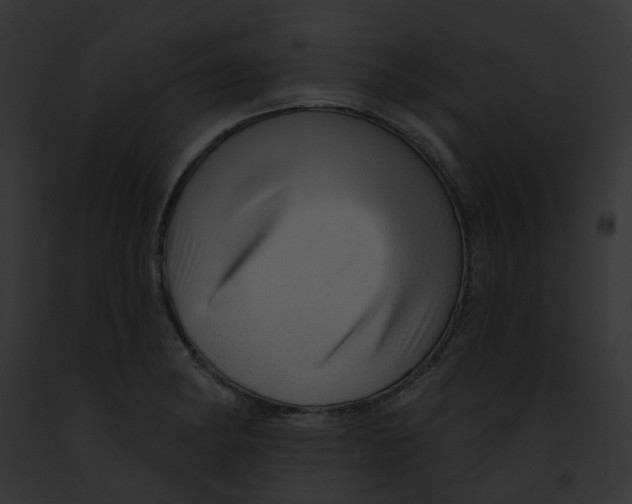 X0000091891182200710031135