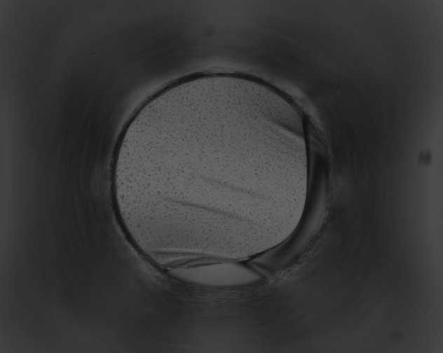 X0000091891183200710031135