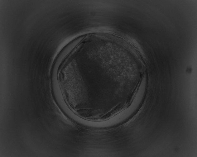 X0000091891184200710031135