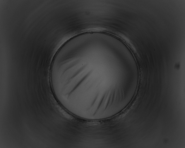 X0000091891186200710031135