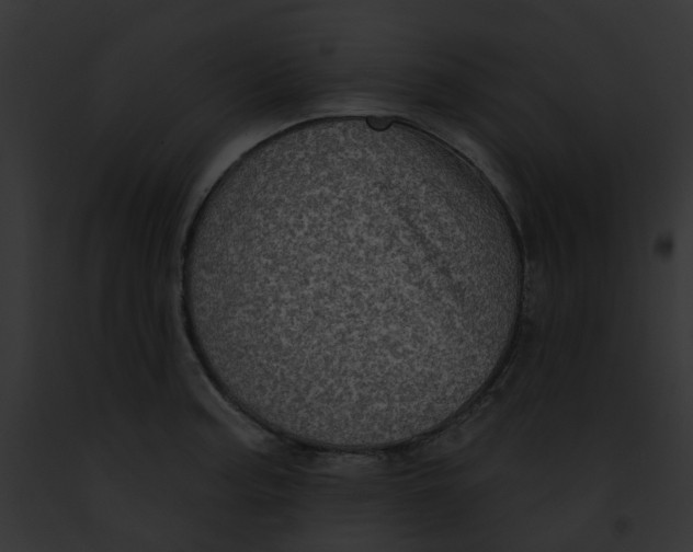 X0000091891187200710031135