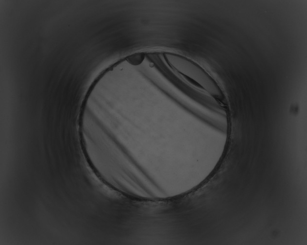 X0000091891189200710031135