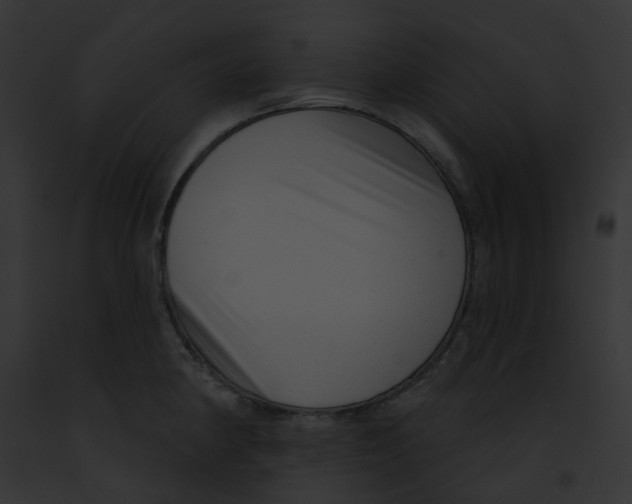 X0000091891190200710031135