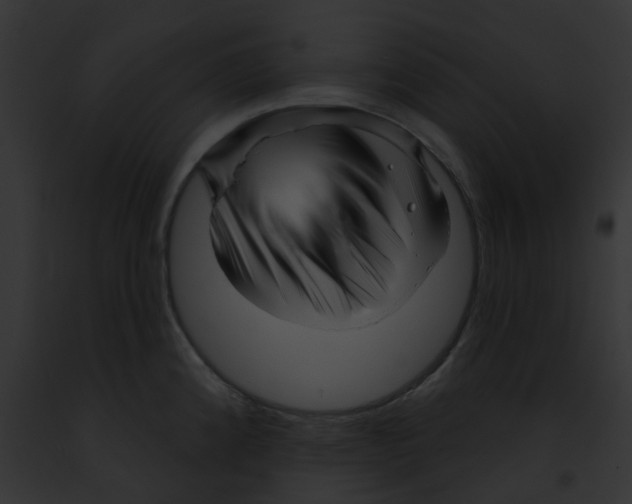 X0000091891192200710031135