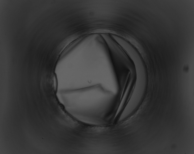 X0000091891193200710031135