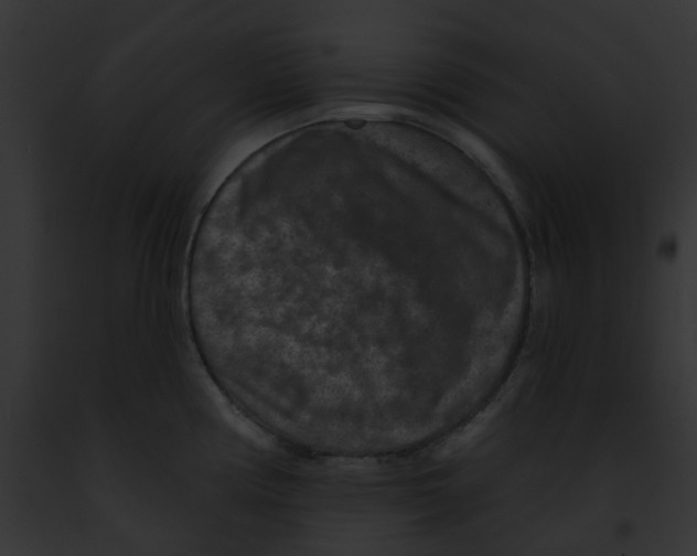 X0000091891194200710031135