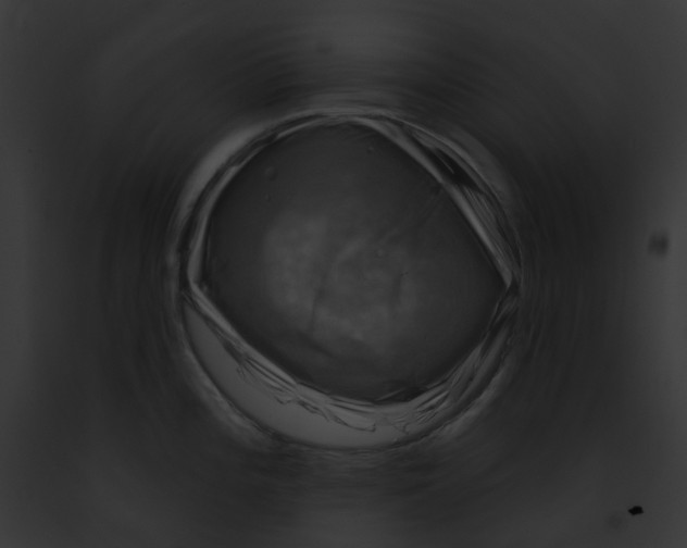 X0000091891196200710031135