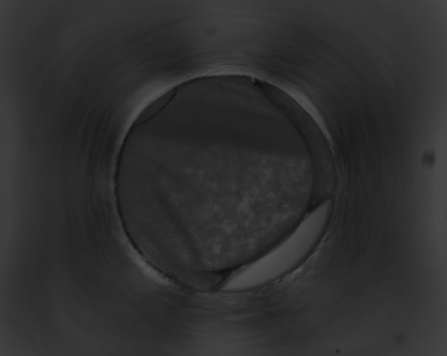X0000091891197200710031135