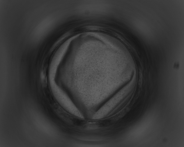 X0000091891198200710031135