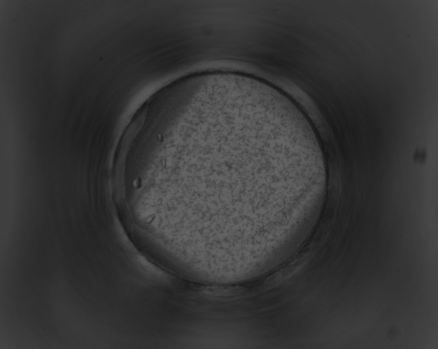 X0000091891199200710031135
