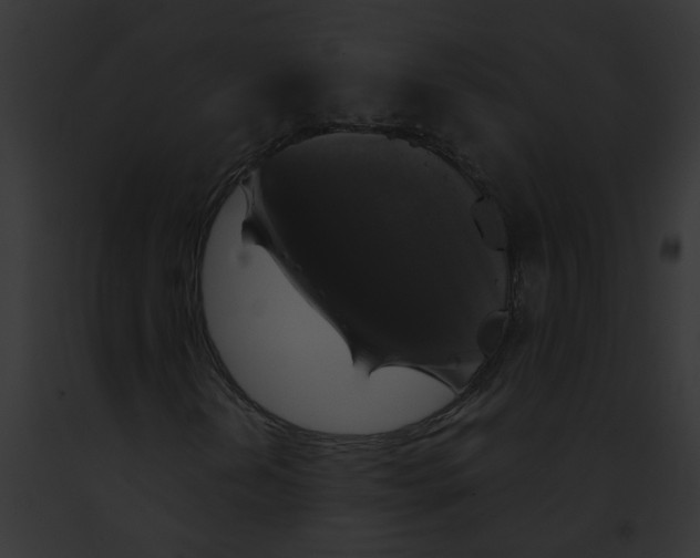 X0000091891202200710031134