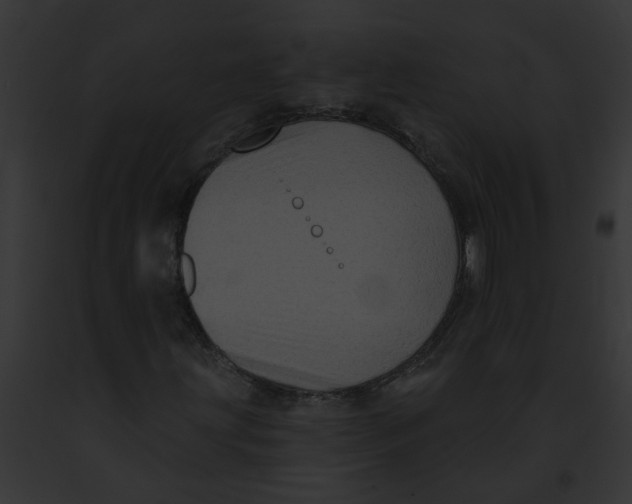 X0000091891203200710031134