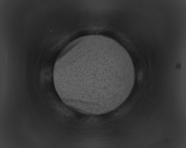 X0000091891204200710031134