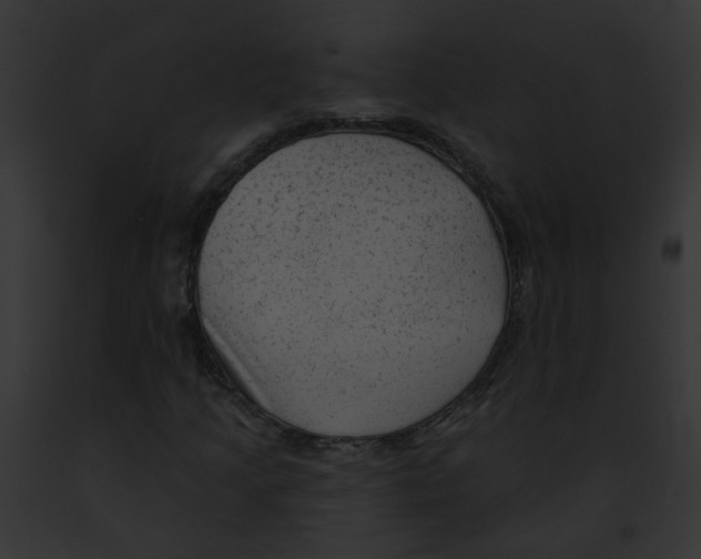 X0000091891205200710031134