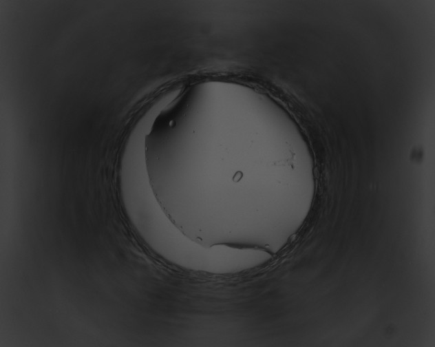 X0000091891206200710031134