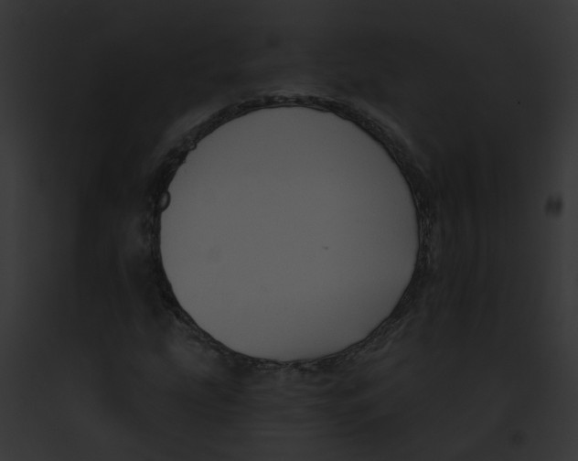 X0000091891207200710031134