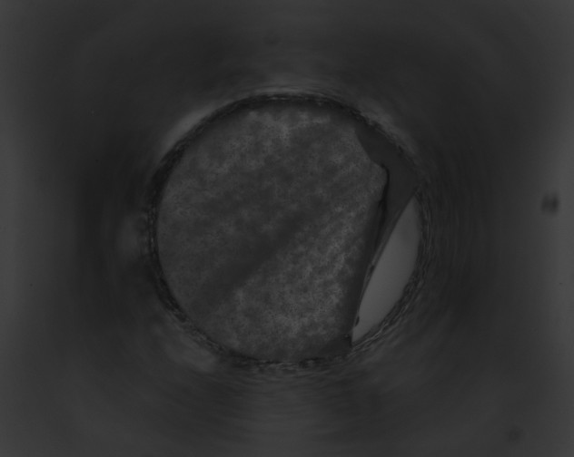 X0000091891208200710031134