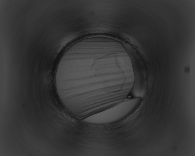 X0000091891210200710031134