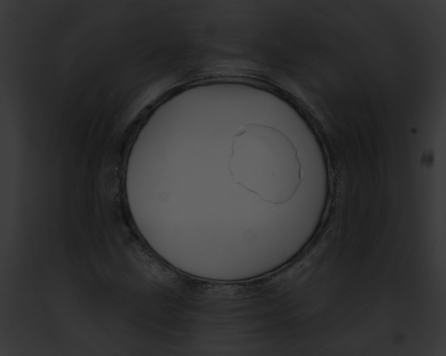 X0000091891211200710031134