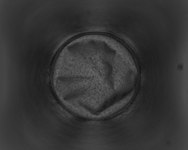 X0000091891212200710031134