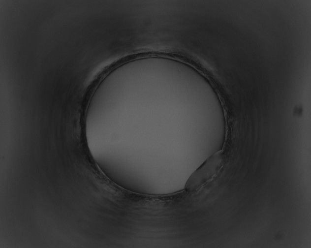 X0000091891214200710031134