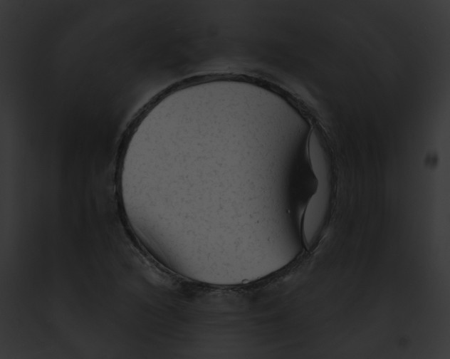 X0000091891216200710031134