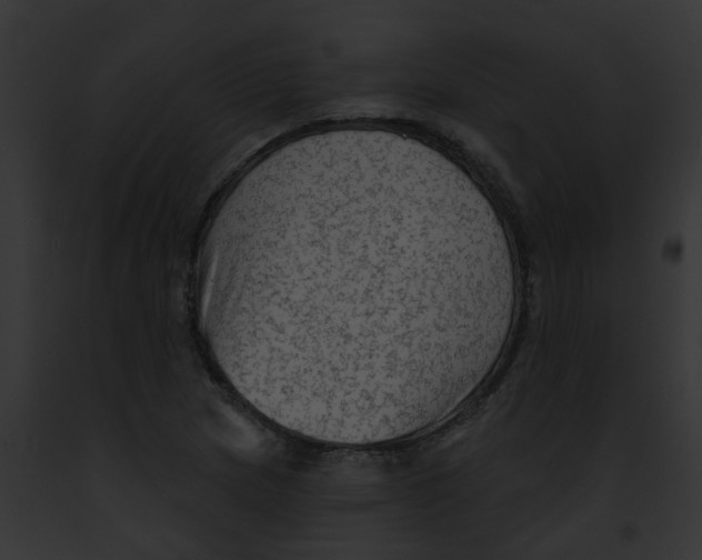 X0000091891217200710031134