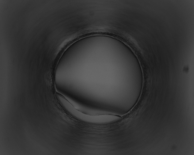 X0000091891218200710031134