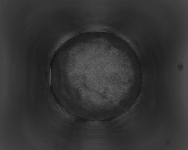 X0000091891219200710031134