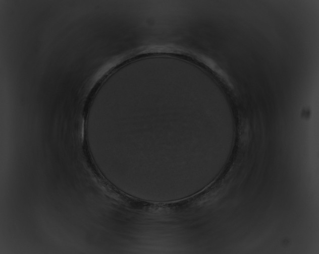 X0000091891221200710031134