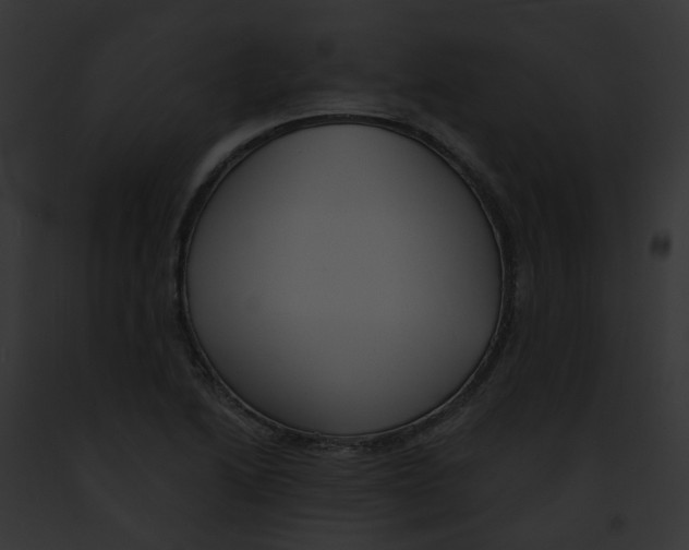 X0000091891222200710031134