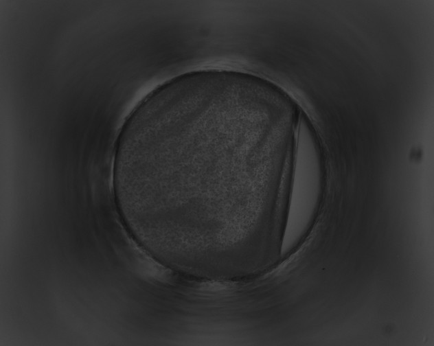 X0000091891224200710031135