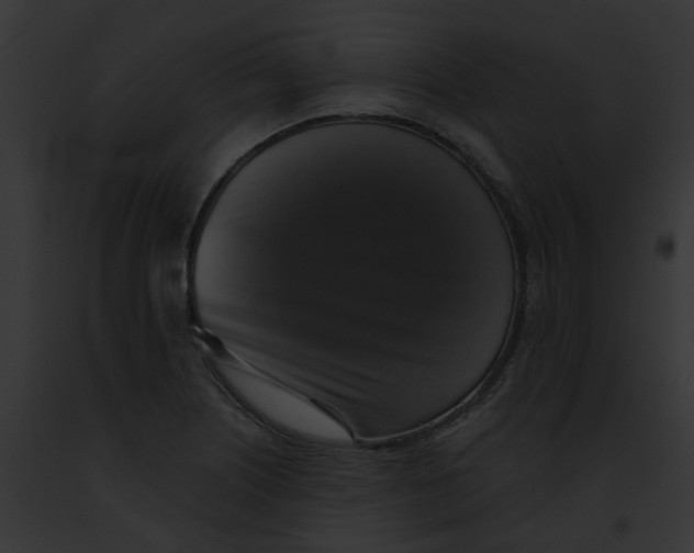 X0000091891226200710031135