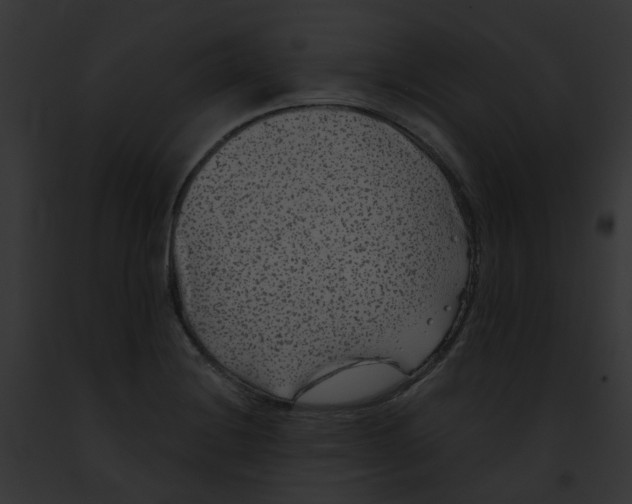 X0000091891228200710031135