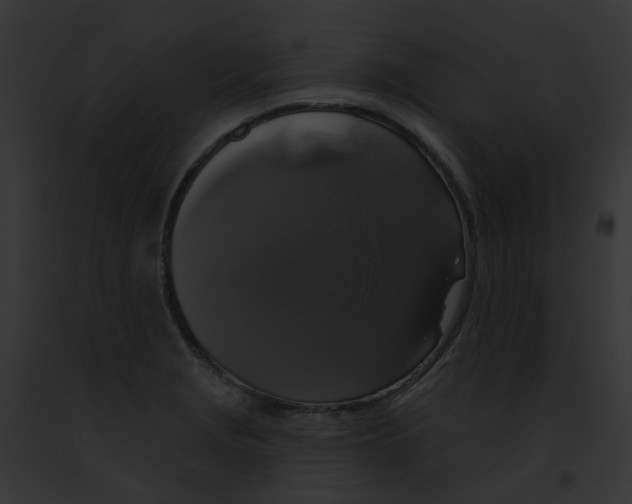 X0000091891229200710031135