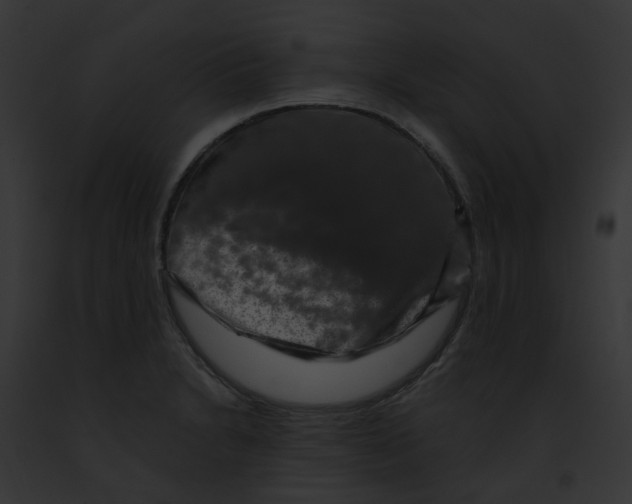 X0000091891230200710031135