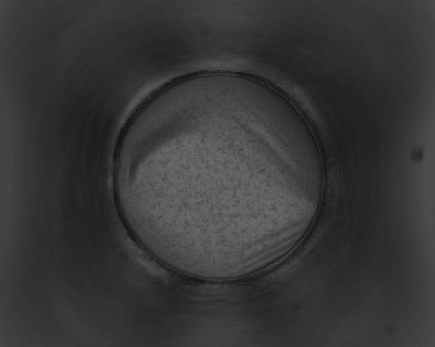 X0000091891232200710031135