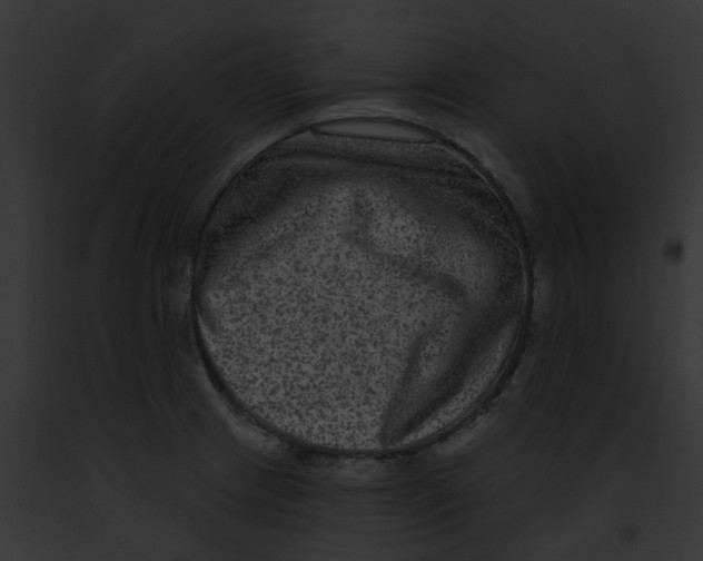 X0000091891233200710031135