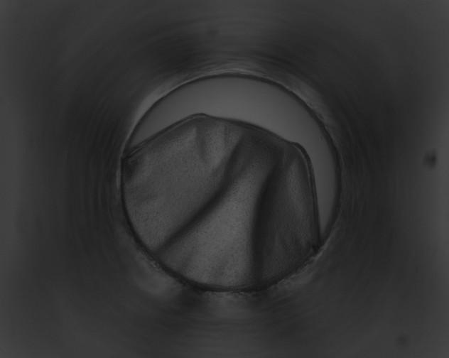 X0000091891234200710031135