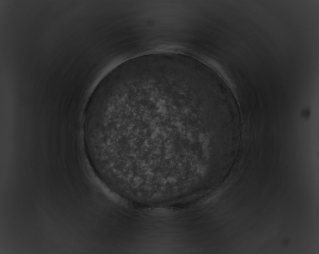 X0000091891235200710031135